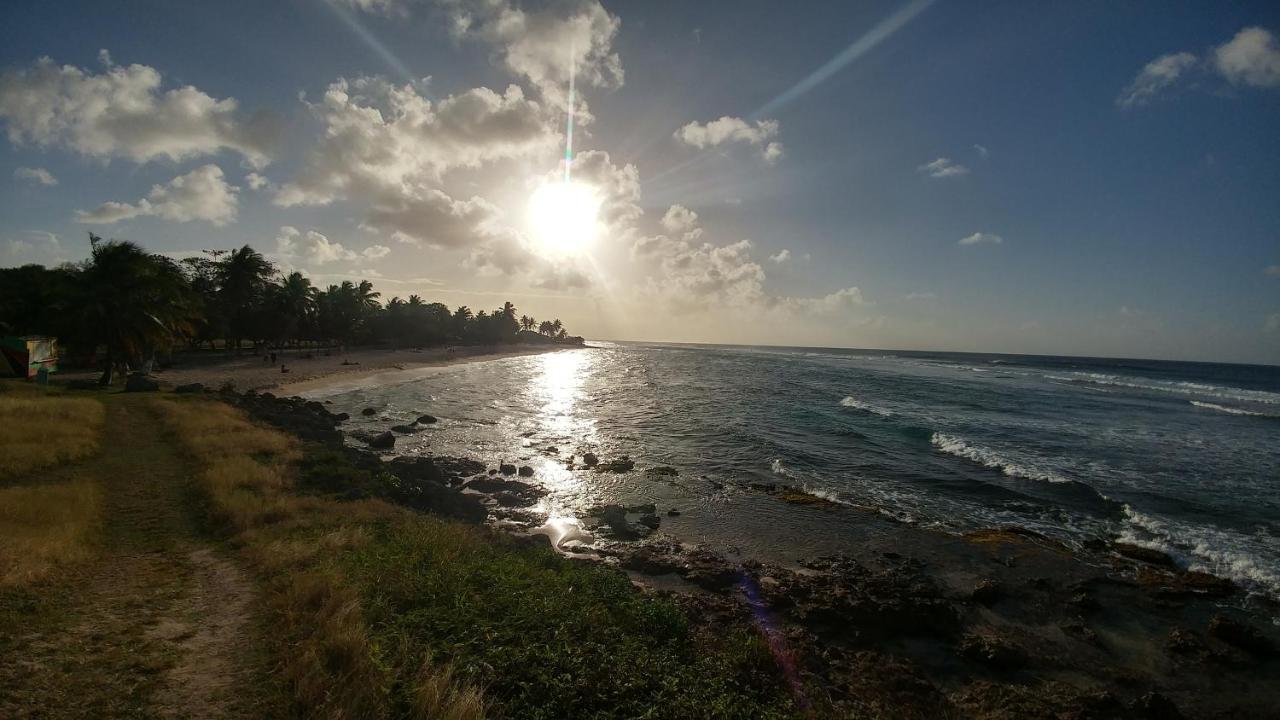 הוילה Anse-Bertrand Les Algues De La Chapelle Bleu Horizon מראה חיצוני תמונה